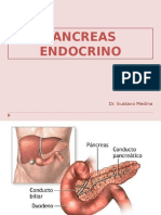 Páncreas Endocrinologia