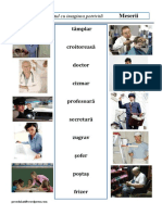 Meserii PDF