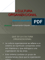 Cultura Organizacional