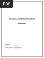 Tiruchirappalli District Domestic Product: Macro-Economics