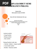 Tugas Formulasi Kosmetik Pewarna Rambut Pirang Tugas Formulasi Kosmetik Pewarna Rambut Pirang