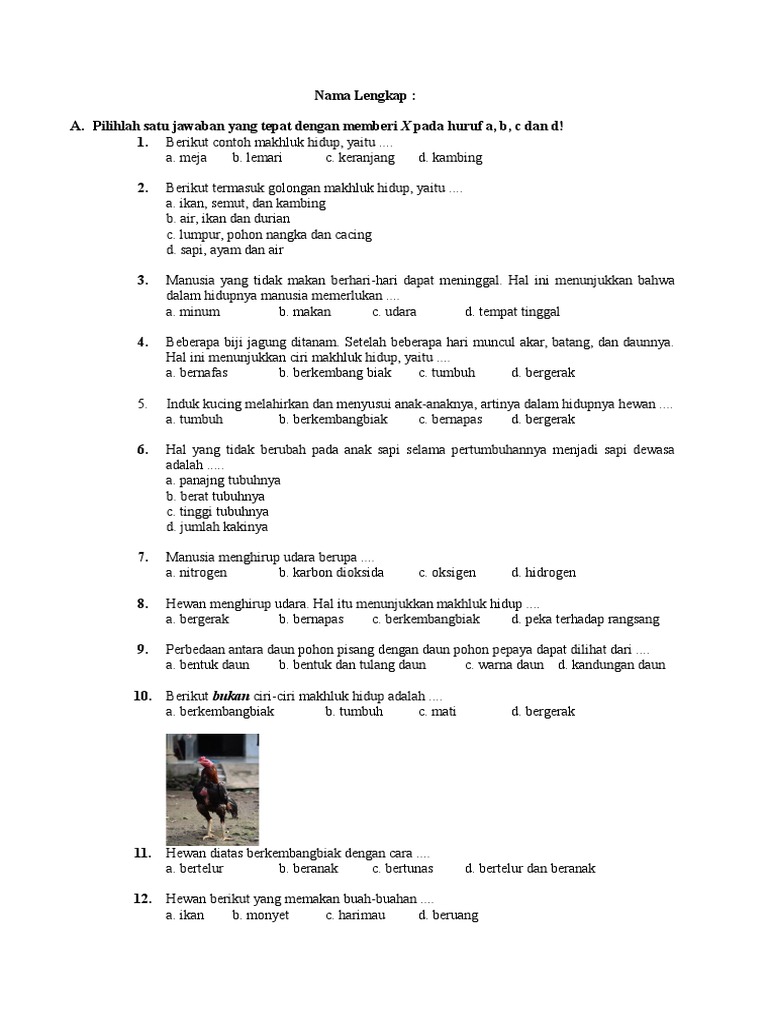 Ulangan Harian Ipa Kelas 3