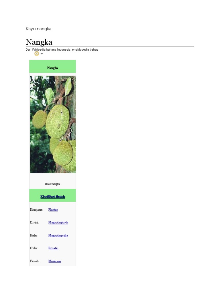 Kayu nangka