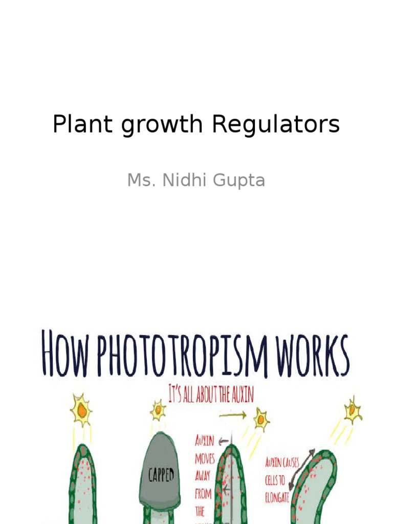 Plant Growth Regulators | PDF