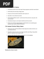 Download Biologi Protista by Citra SN331409901 doc pdf