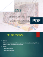 Efloresensi