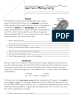 Photosynthesis Worksheet