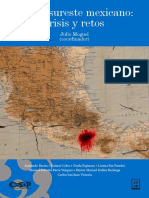 6-El-sur- sureste-mexicano-crisis-retos.pdf