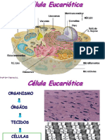 Células e Organismo 21 03 14