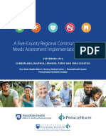 PPI CHNA Five-County Implementation Strategy 9-1-16 PDF