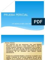 Prueba Pericial