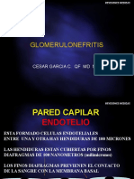 glomerulonefritisactual-110802064739-phpapp02