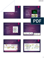 Aula 19 - Lisossomos, Endossomos e Autofagia