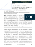 The Original Composition of The Pro-Ostracum of An Early Sinemurian Belemnite From Belgium Deduced From Mode of Fossilization and Ultrastructure