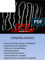 Clase Cestodo y Diphylobotrium