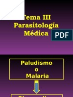 2.Plasmodium