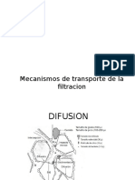 Mecanismos de Transporte de Filtracion