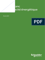 livre_blanc_ee_fevrier2011_schneider_electric__1__313445.pdf