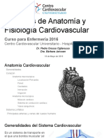 Anatomía y Fisiología Cardiovascular 2016