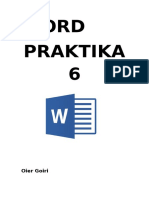 Word Praktika 6