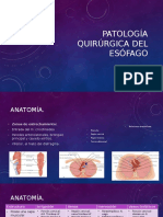 Patologia QX Esofago