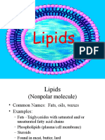 Day 4 Lipid Notes