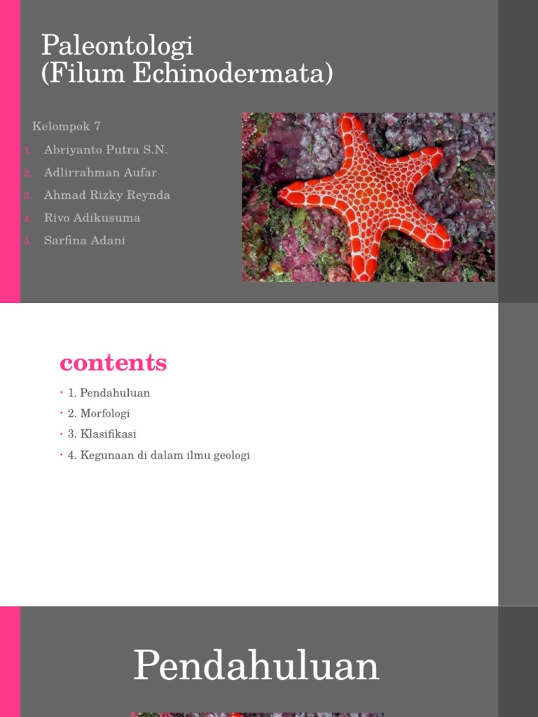 Ppt Echinodermata Organisms Paleontology