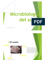 Microbiología del suelo: Bacterias, hongos y más