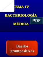 7.bacilos Grampositivos