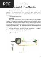 Roteiro 5 - Força Magnética