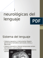 Bases Neurológicas Del Lenguaje