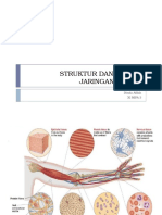 Struktur Dan Fungsi Jaringan Hewan