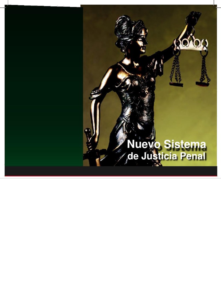 Estructura del Nuevo Sistema Penal | PDF | Derecho penal | Policía