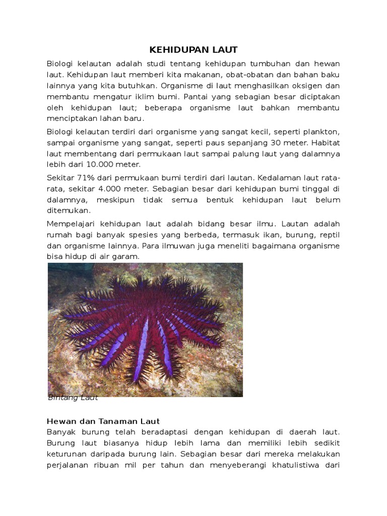 Kehidupan Laut Doc