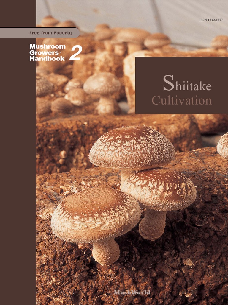 Buy Shiitake Mushrooms Online in Bulk at Mount Hope Wholesale