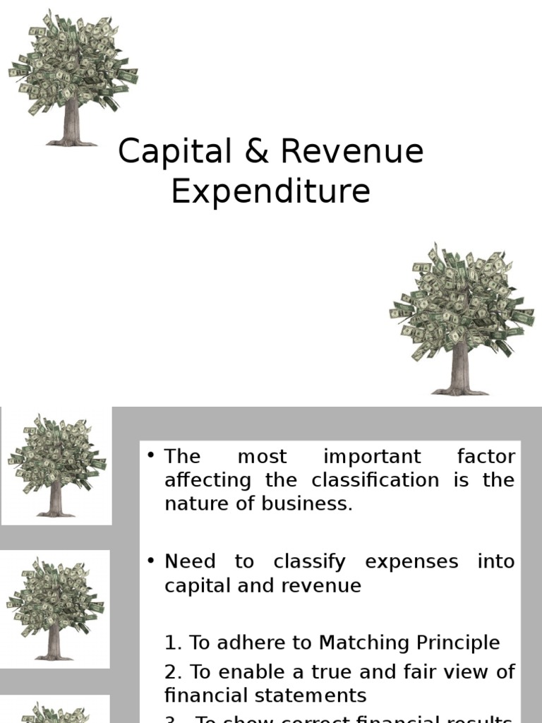 Session 7 Rev Cap Exp PDF Expense Accounting