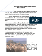 Castele de Pe Valea Loarei PDF