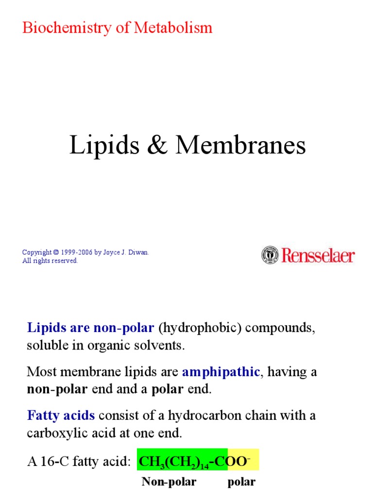Lipids & Membranes: Biochemistry of Metabolism | PDF | Cell Membrane ...