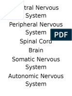 Central Nervous System Peripheral Nervous System Spinal Cord Brain Somatic Nervous System Autonomic Nervous System