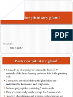 Posterior Pituitary Gland Presentation - Para