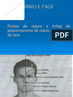 Crânio e Face PDF
