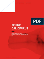 CoC Feline Calicivirus
