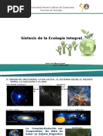 Ecología Integral