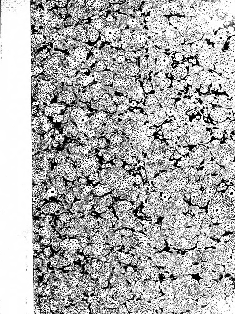 Abbot (1854) - USMA Half Century Record of the Class at  