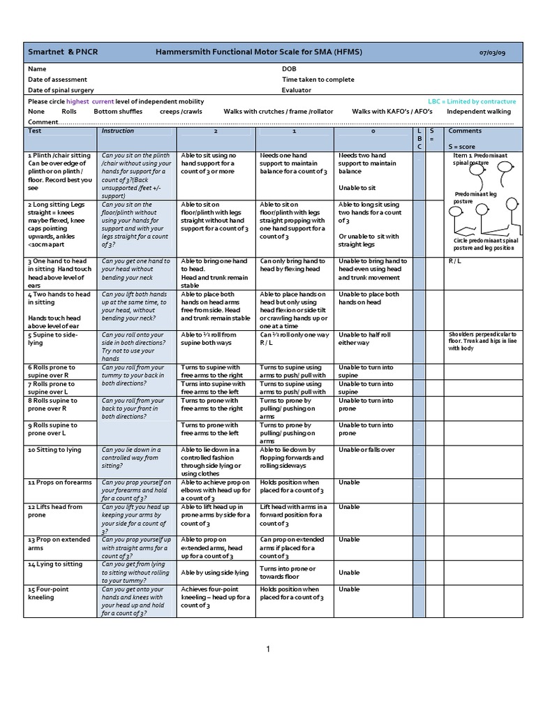 hfmse score sheet proforma 07 03 09 Anatomical Terms Of Motion