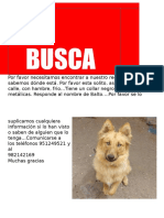 Se Busca Balto