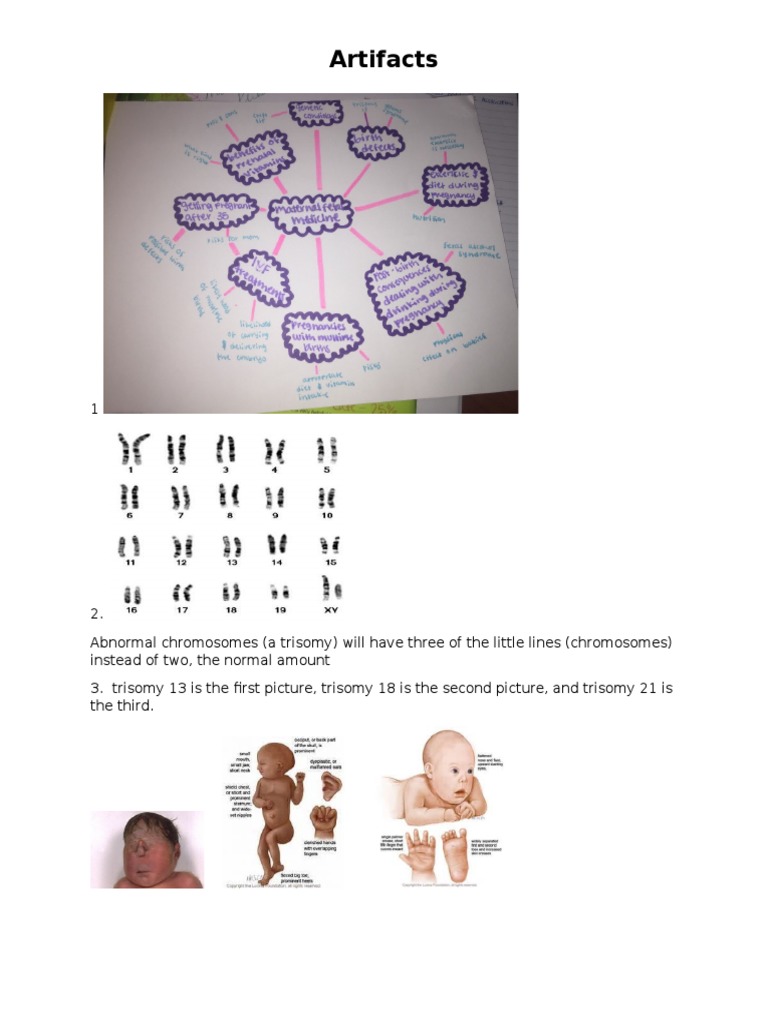 Artifacts | PDF | Self-Improvement | Science & Mathematics