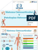 Sistema Osteoarticular