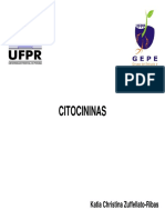 10 CITOCININAS.pdf