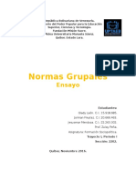 Normas Grupales Ensayo